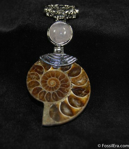 Beautiful Ammonite Pendant #650